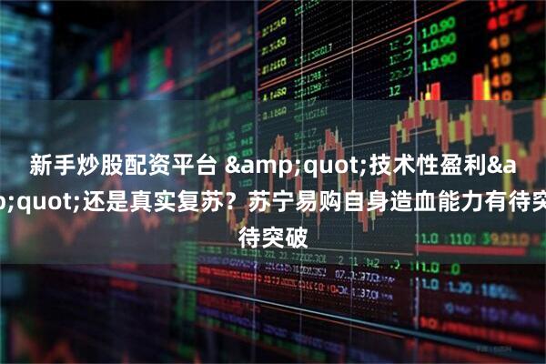 新手炒股配资平台 &quot;技术性盈利&quot;还是真实复苏？苏宁易购自身造血能力有待突破