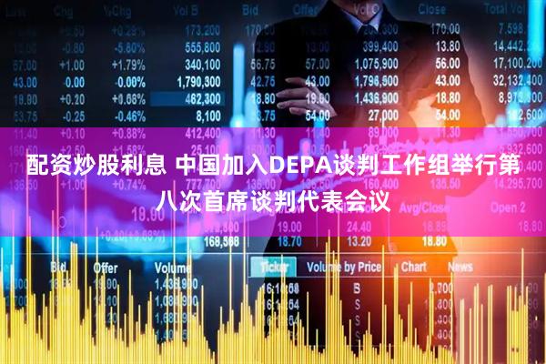 配资炒股利息 中国加入DEPA谈判工作组举行第八次首席谈判代表会议