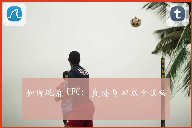 如何观看 UFC:直播与回放全攻略