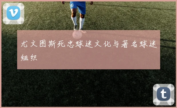 尤文图斯死忠球迷文化与著名球迷组织