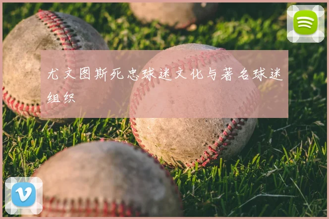 尤文图斯死忠球迷文化与著名球迷组织