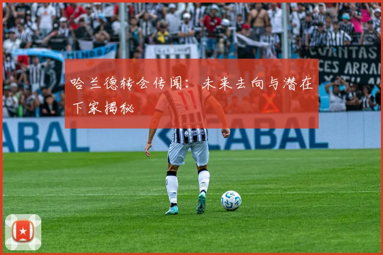 哈兰德转会传闻:未来去向与潜在下家揭秘