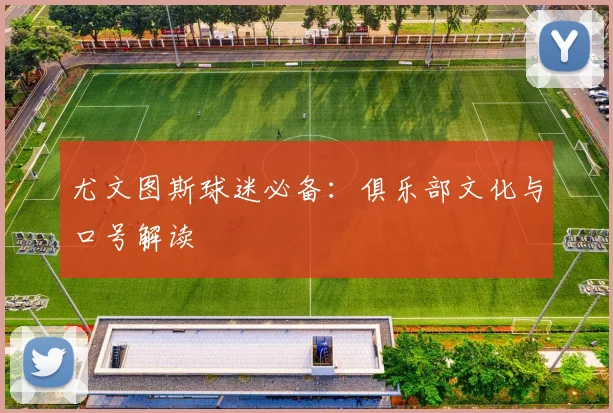 尤文图斯球迷必备:俱乐部文化与口号解读