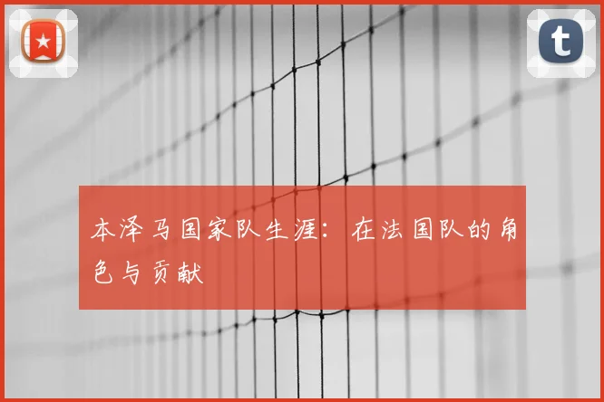 本泽马国家队生涯：在法国队的角色与贡献