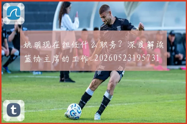 姚明现在担任什么职务?深度解读篮协主席的工作_20260523195731